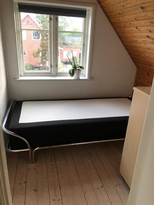 Hyggeligt Byhus Taet Ved Skov Og Togstation Ålbæk المظهر الخارجي الصورة